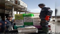 کشف و ضبط بیش از 2 تن فرآورده ها ی خام دامی غیر بهداشتی در میانه