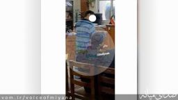 نوه دهقان فداکار قاتل شد /خانواده تازه داماد هم درس فداکاری دادند