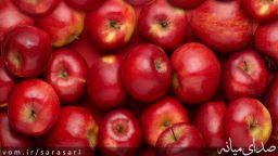 آمادگی جهادکشاورزی میانه برای تسهیل صادرات سیب