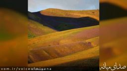 تصاویری از گل‌های بنفش قافلانکوه میانه