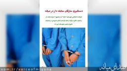 دستگیری سارقان سابقه دار در میانه