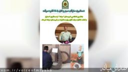 دستگیری ۲سارق و کشف ۱۸فقره سرقت کابل برق و مخابرات در میانه