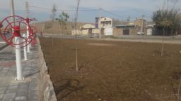 کاشت چمن و درختکاری فضای سبز انتهای گلستان سوم در شهرک ولیعصر