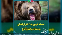 مصدومیت ۳ نفر از اهالی یالقوز آغاج براثر حمله خرس