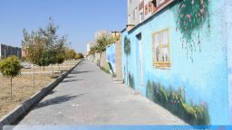 تصویرسازی بر دیوار خانه های مجاور عابر پارک شهرک اندیشه