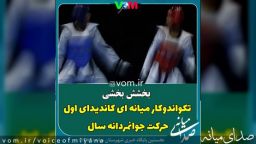 بخشش بخشی /تکواندوکار میانه ای ،کاندیدای حرکت سال