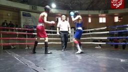 حضور بوکسور میانه ای در مسابقات انتخابی تیم ملی