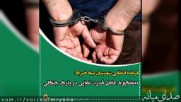 دستگیری عامل قدرت نمایی در پارک جنگلی شهرستان میانه