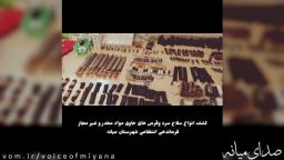کشف انبار انواع سلاح سرد و داروی غیرمجاز در شهرستان"میانه"
