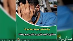 دستگیری فرد شرور و عربده کش در خیابان آزادگان توسط پلیس میانه