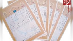 برای تمامی اراضی منابع طبیعی شهرستان میانه سند تک برگ صادر شد