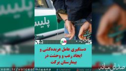 دستگیری عامل عربده‌کشی و ایجاد رعب و وحشت در بیمارستان برکت