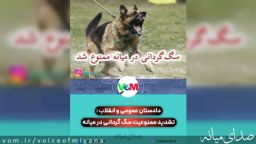 دادستان عمومی و انقلاب میانه خبر داد/ تشدید ممنوعیت سگ گردانی در میانه