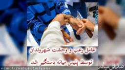 دستگیری عامل رعب و وحشت شهروندان در مجتمع مسکونی توسط پلیس میانه