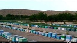 تأثیر زنبورداری در توسعه اقتصاد روستایی با مطالعه موردی برای شهرستان میانه