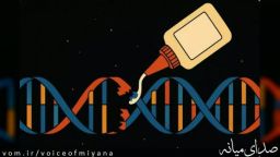 کشف نخبه میانه ای در استرالیا/ «چسب مولکولی» ضدپیری که به درمان آلزایمر کمک می‌کند