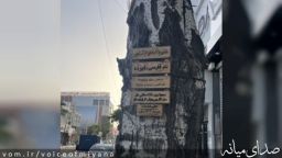 شناسنامه درخت ها در زنجان و جای خالی آن در میانه