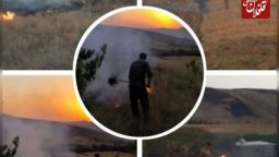 آتش‌سوزی در منطقه شکار ممنوع کاغذکنان با تلاش محیط بانان مهار شد