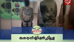 زمین‌گیر شدن افراد قمه ‌به ‌دست در پارک انقلاب "میانه" 