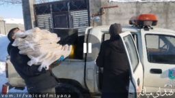 توزیع ۵۰۰۰ نان در بین روستاییان گرفتار در برف اوچ تپه