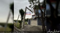 خسارات به برق و درختان به دلیل وزش شدید باد در میانه