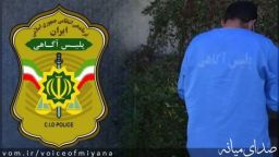 دستگیری کلاهبرداری ميلياردی در پوشش خرید حبوبات از کشاورزان میانه ای