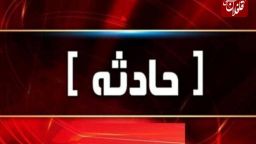 عملیات پنج ساعته برای نجات مصدوم حمله خرس در میانه
