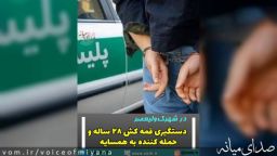 دستگیری عامل قمه‌کشی و ضرب و جرح در شهرک ولیعصر میانه