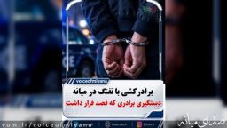 برادرکشی در میانه با اسلحه کمری /متهم ۱۹ ساله دستگیر شد