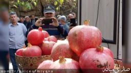 پنجمین جشنواره انار کاغذکنان در روستای زیبای گوو