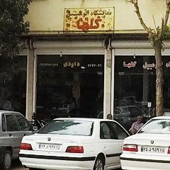 نمایشگاه اتومبیل گلها