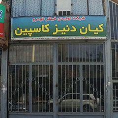 شرکت تولید فیلتر خودرو کیان دنیز کاسپین