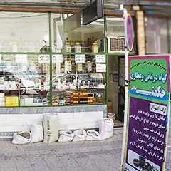 گیاه درمانی و عطاری حکمت