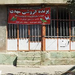 پرنده فروشی مهدی