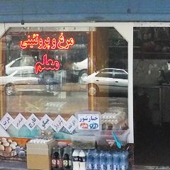 مرغ و پروتئینی معلم