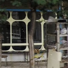 پرنده فروشی