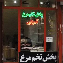 پخش تخم و مرغ آسیابی