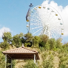 پارک جنگلی میانه