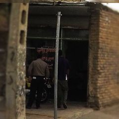 پرنده فروشی سیروس