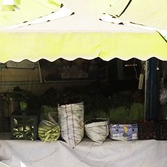 سبزی فروشی