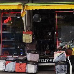 اسپرت دولتی زنون