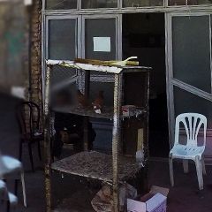 پرنده فروشی کبیری