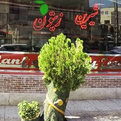 شیرینی زیتون