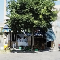 سوپر مارکت و میوه فروشی شاهد