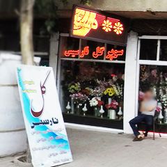 سوپر گل نارسیس