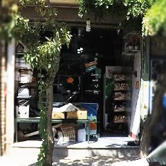 سوپر پاییزان