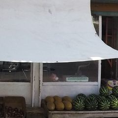 لبنیاتی و میوه فروشی