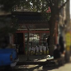 خواربار و لبنیات فروشی