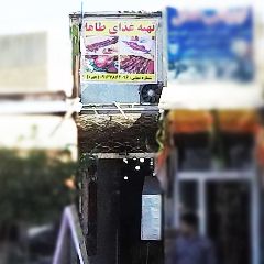 تهیه غذای طاها