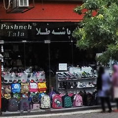 فروشگاه کیف و کفش پاشنه طلا